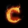 Cpinal